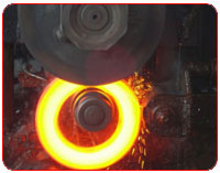 Loose Flanges