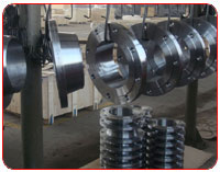 Carbon Steel Ring Type Joint Flanges  manufacturers, supplier & stockist in india & asia