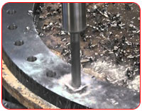 Expander Flanges